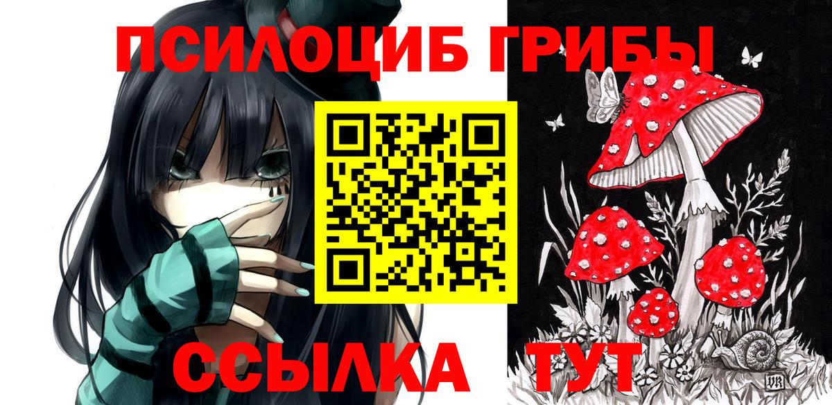 Галлюциногенные грибы GOLDEN TEACHER  Вход с VPN  Нальчик 