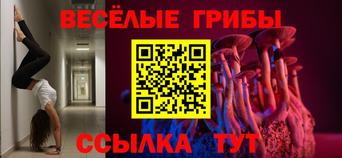 Псилоцибиновые грибы мухоморы Нальчик